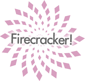 nancywidgetfirecracker